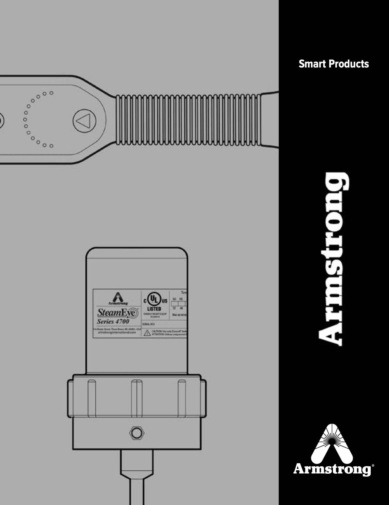 Wireless system